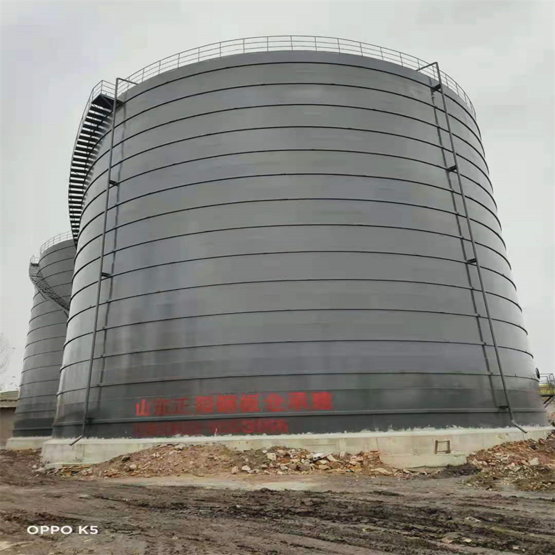 望江3万吨大型钢板库